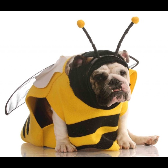 Meet your Posher, Hannah - Picture 1 of 1